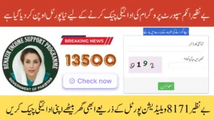 BISP 8171 Validation Portal October 2025 – Confirm Eligibility & Rs13,500 Payment