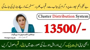 BISP 8171 October 2025 Payment Guide: Understanding Cluster Distribution in Detail
