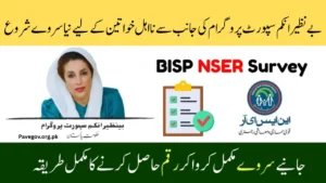 BISP 8171 Survey October 2025: How to Check Eligibility & Receive Rs. 13,500 Installments