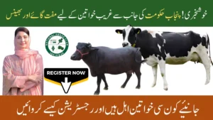 CM Punjab Free Livestock Program 2025 Registration Process
