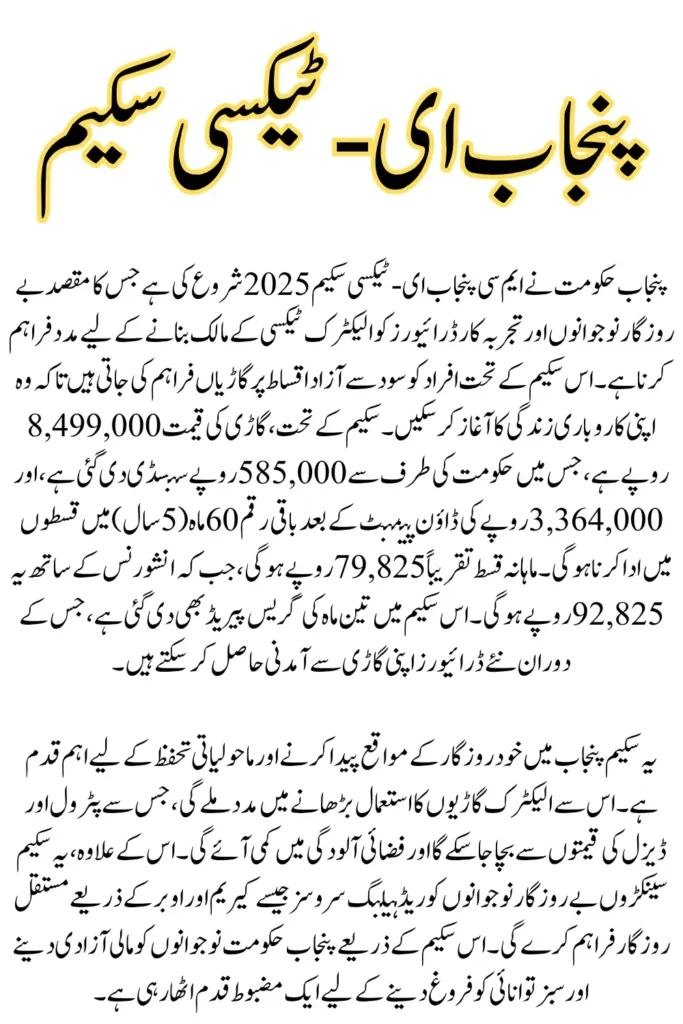 E-Taxi Scheme 2025 Repayment Schedule - Down Payment and Monthly Installment Plan