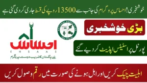 Ehsaas 8171 Online Check 2025: Check Eligibility and Payment Status